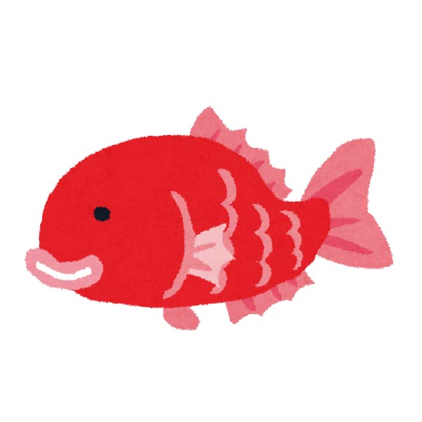 タイ（１尾）