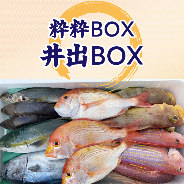 粋粋BOX L（井出BOX）