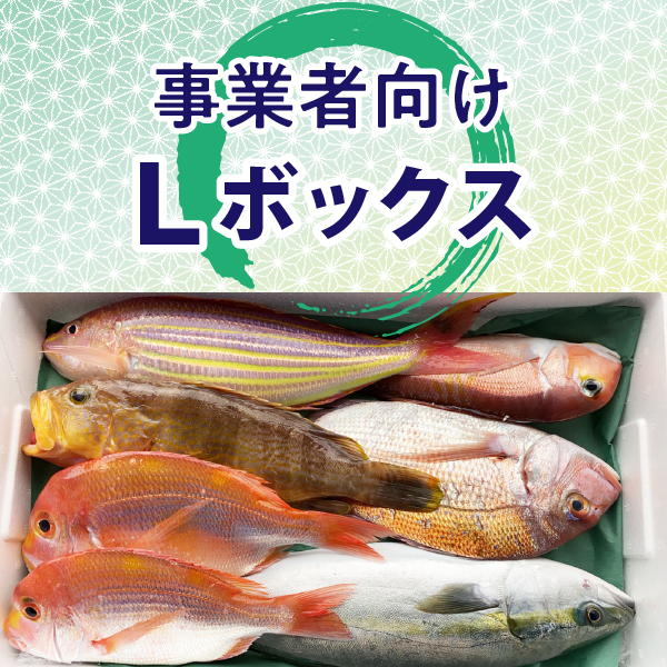 事業者向け Lボックス