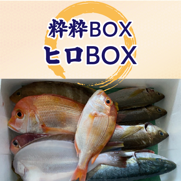粋粋BOX SS（ヒロBOX）